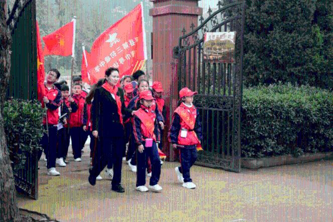 衡翼软组织抗拉强度试验机 硅片剥离强度测试仪 硅钢片涂层剥离强度试验机